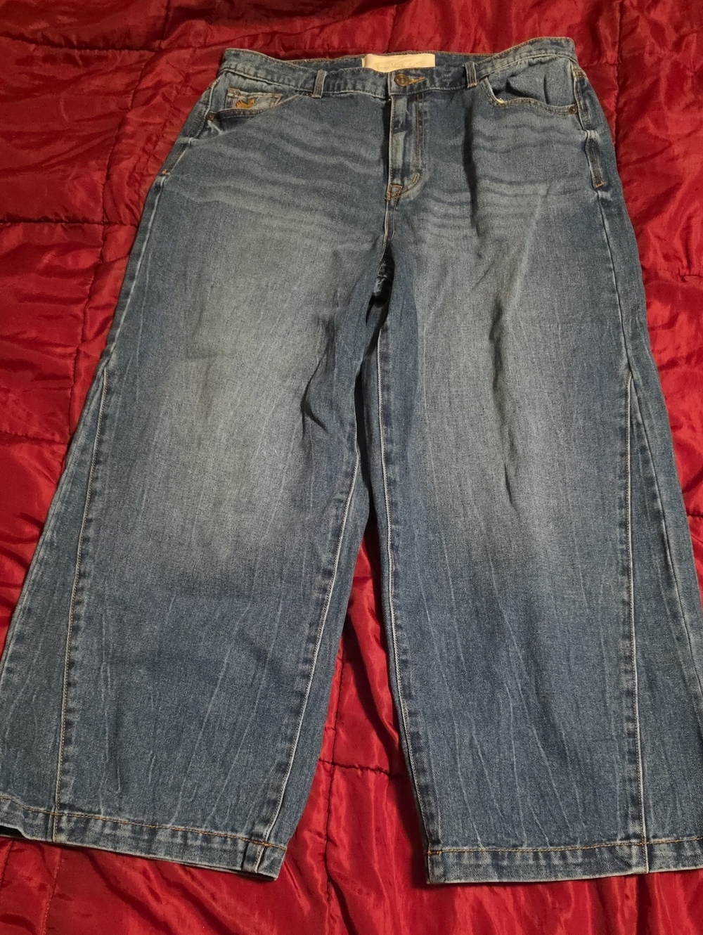 Nwot Gloria Vanderbilt X Christian Sirano Wide-Leg Cropped Jeans, Sz 29/8